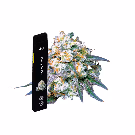 Photograph of product: Drip All in One Disposable Cherry Cookies