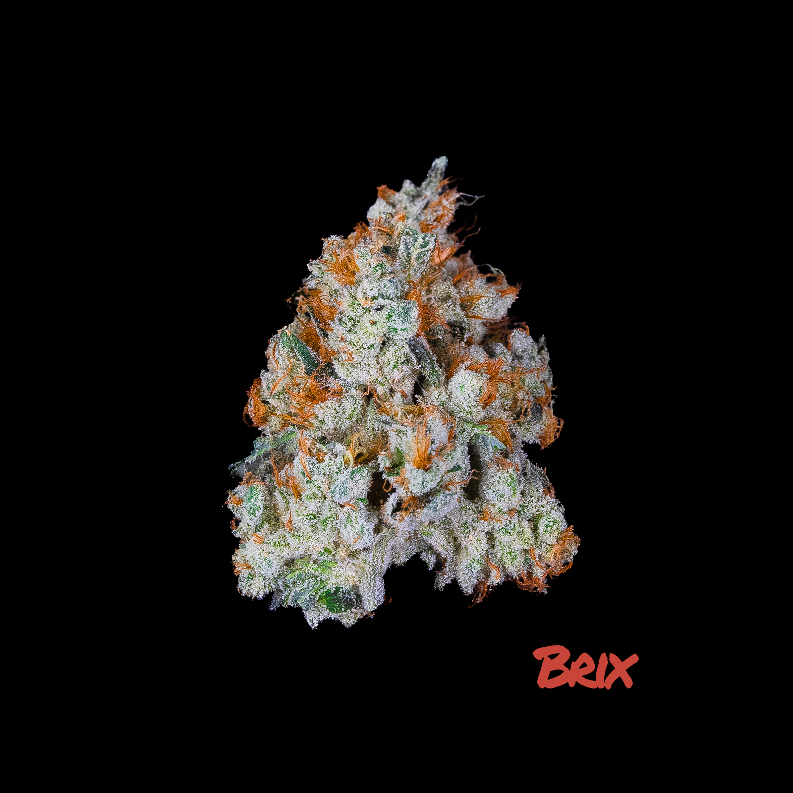 Photograph of product: Brix Oui'd Chemdog's Chem D Whole Flower 26.93% (H) 3.5g - 00314