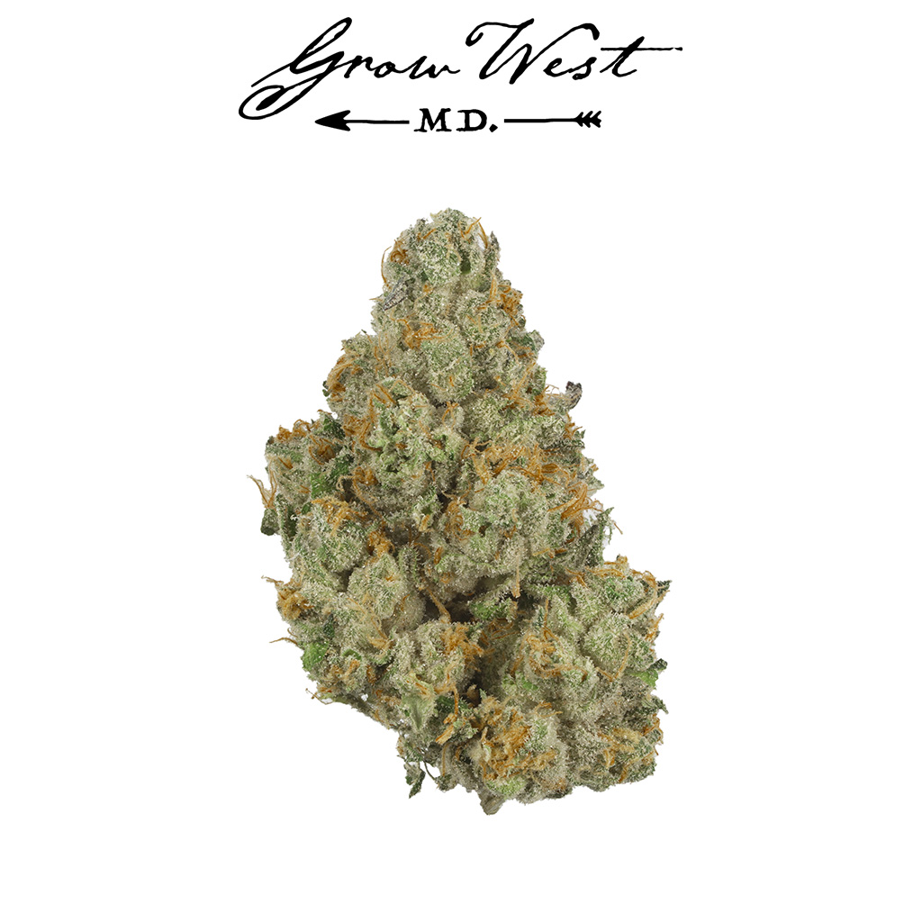 Photograph of product: Member Berry 3.5g - Grow West Premium (Pre-Pack)
