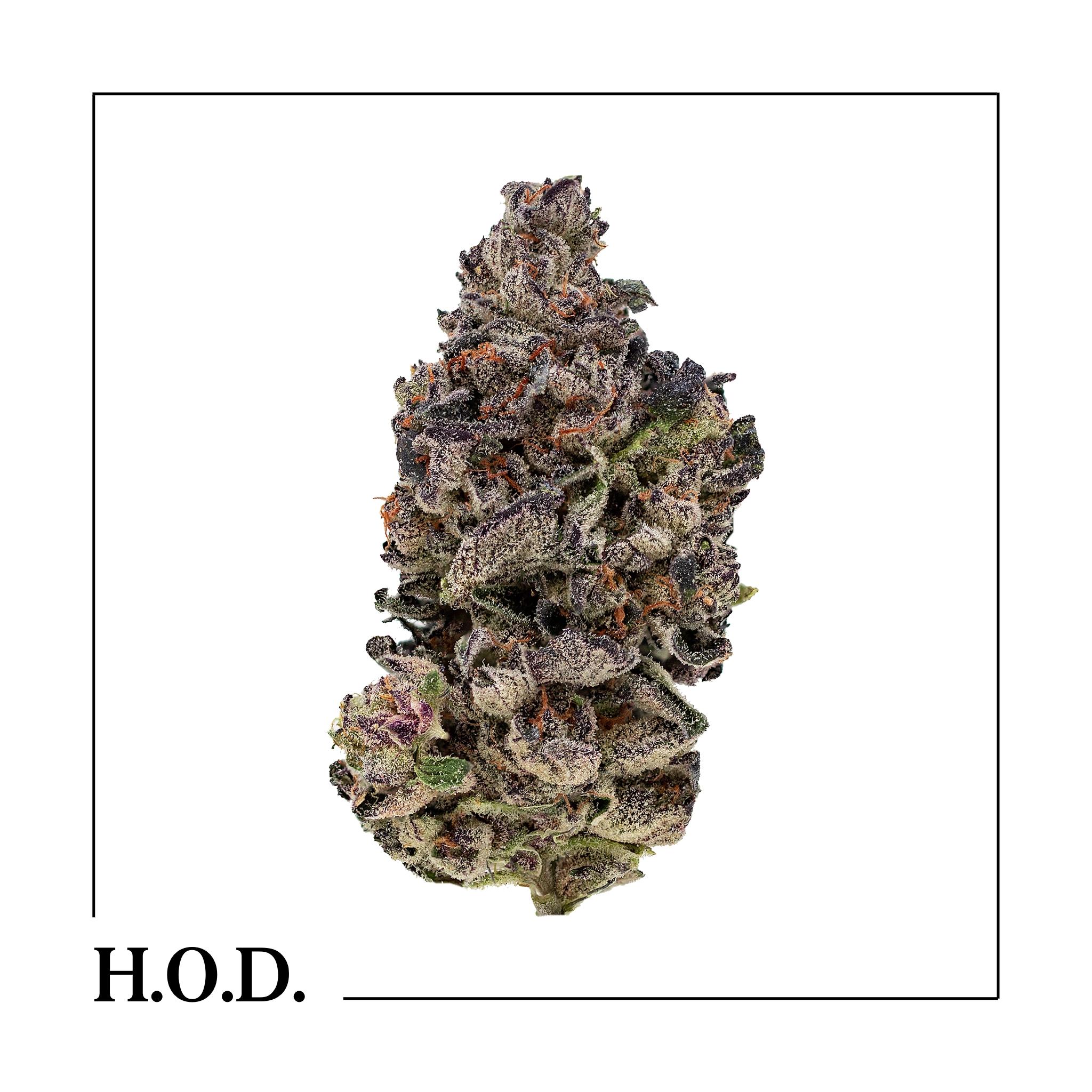 Photograph of product: Lemon Cherry Gelato Shake 3.5g