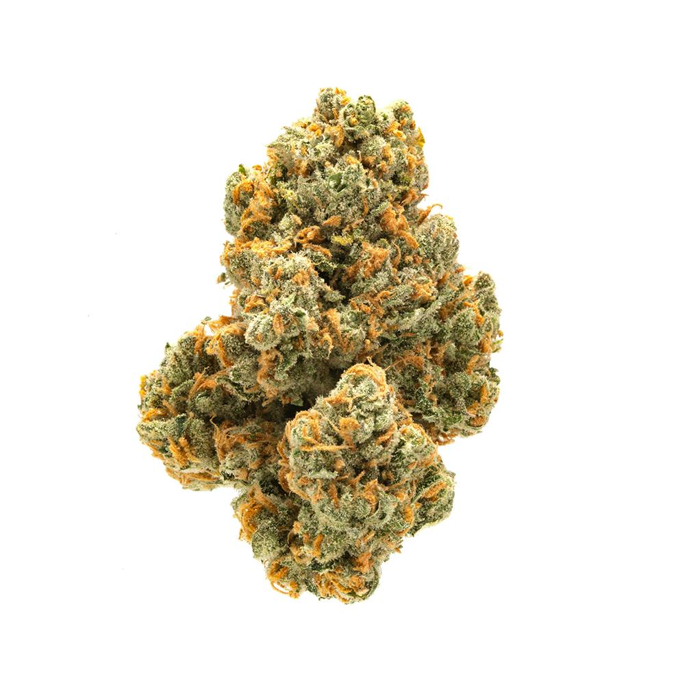 Photograph of product: Mimosa | Flower [SALE] - 28g
