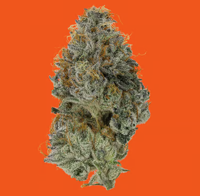 Photograph of product: C.T.C - 14g
