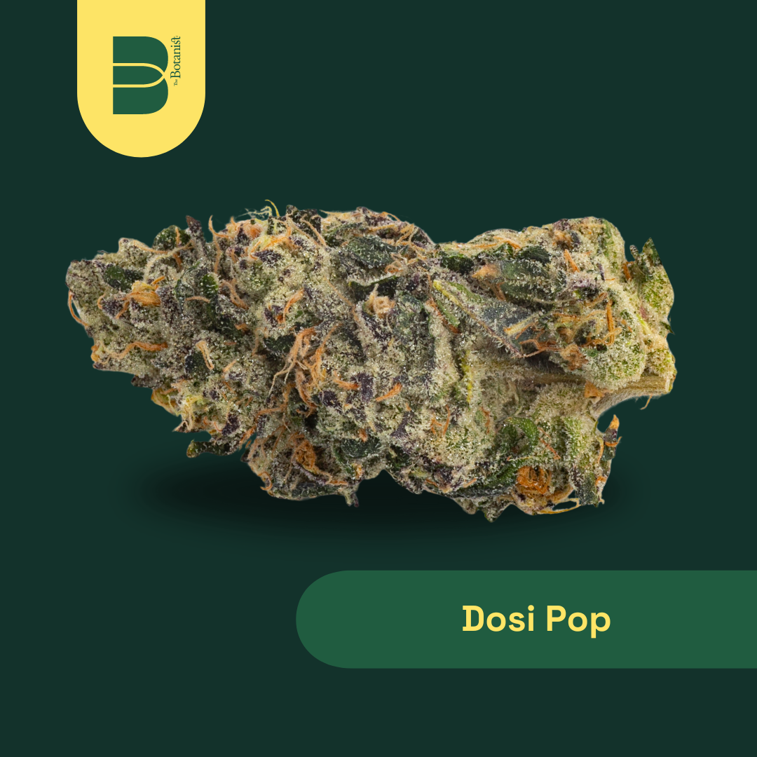 Photograph of product: The Botanist Dosi Pop (I) Flower 3.5g