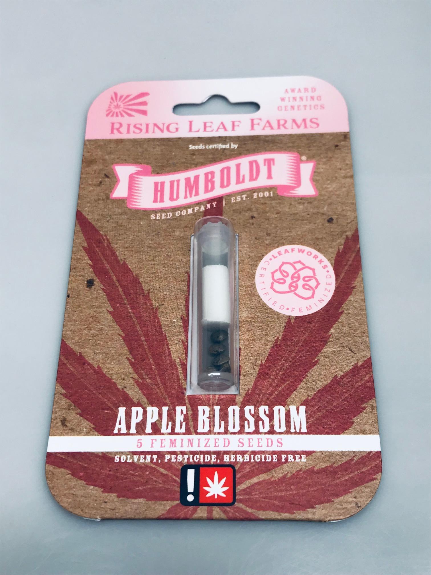 Photograph of product: Humboldt Feminized Apple Blossom 5 Pack Seeds
