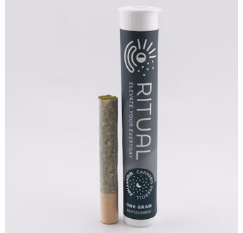 Photograph of product: Vanilla Frosting | 1g