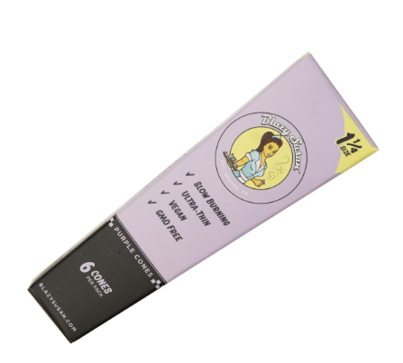 Photograph of product: Blazy Susan Purple 1 1/4" Cones 6pk