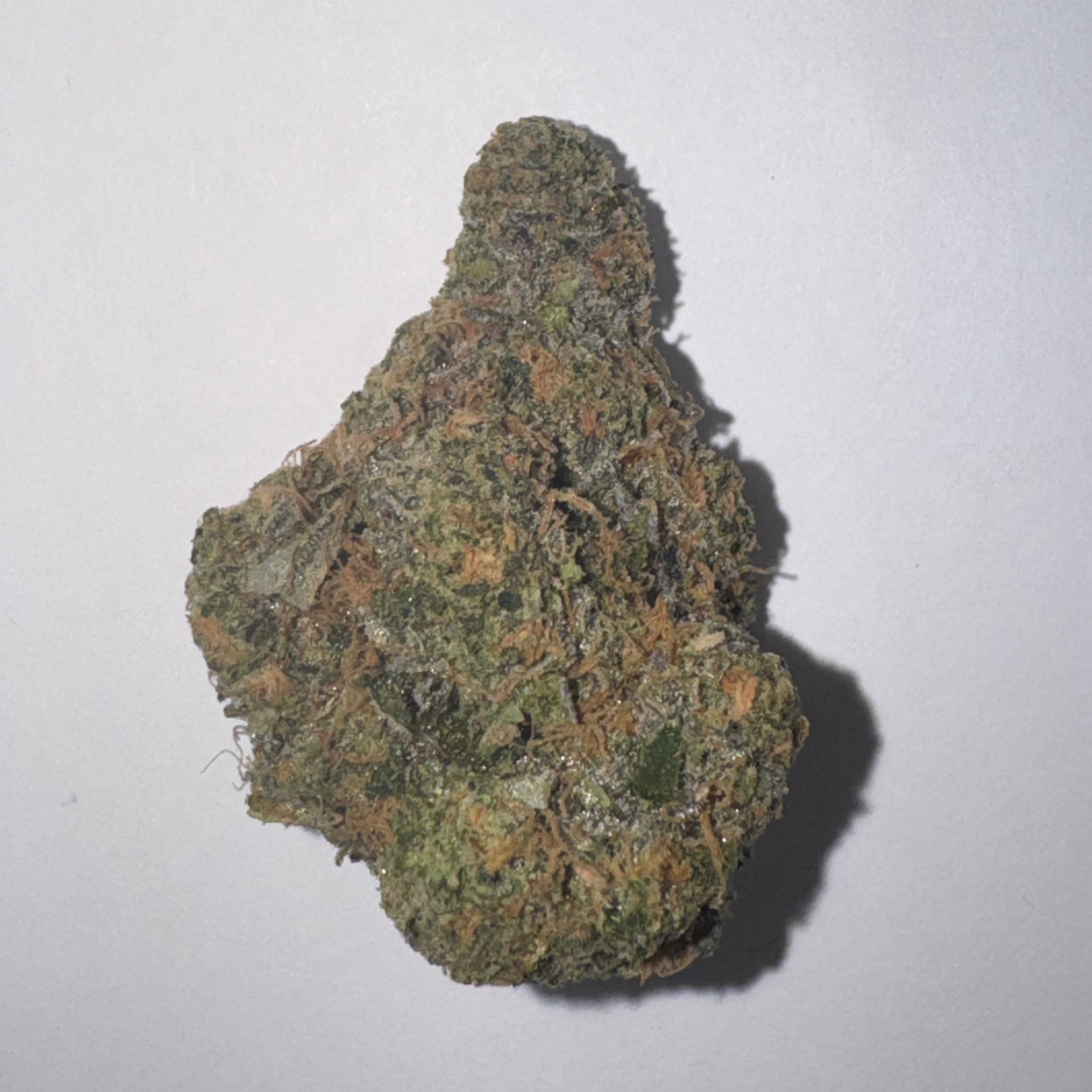 Photograph of product: Black Maple (Bota Pharm) 29.9% Hybrid 1570