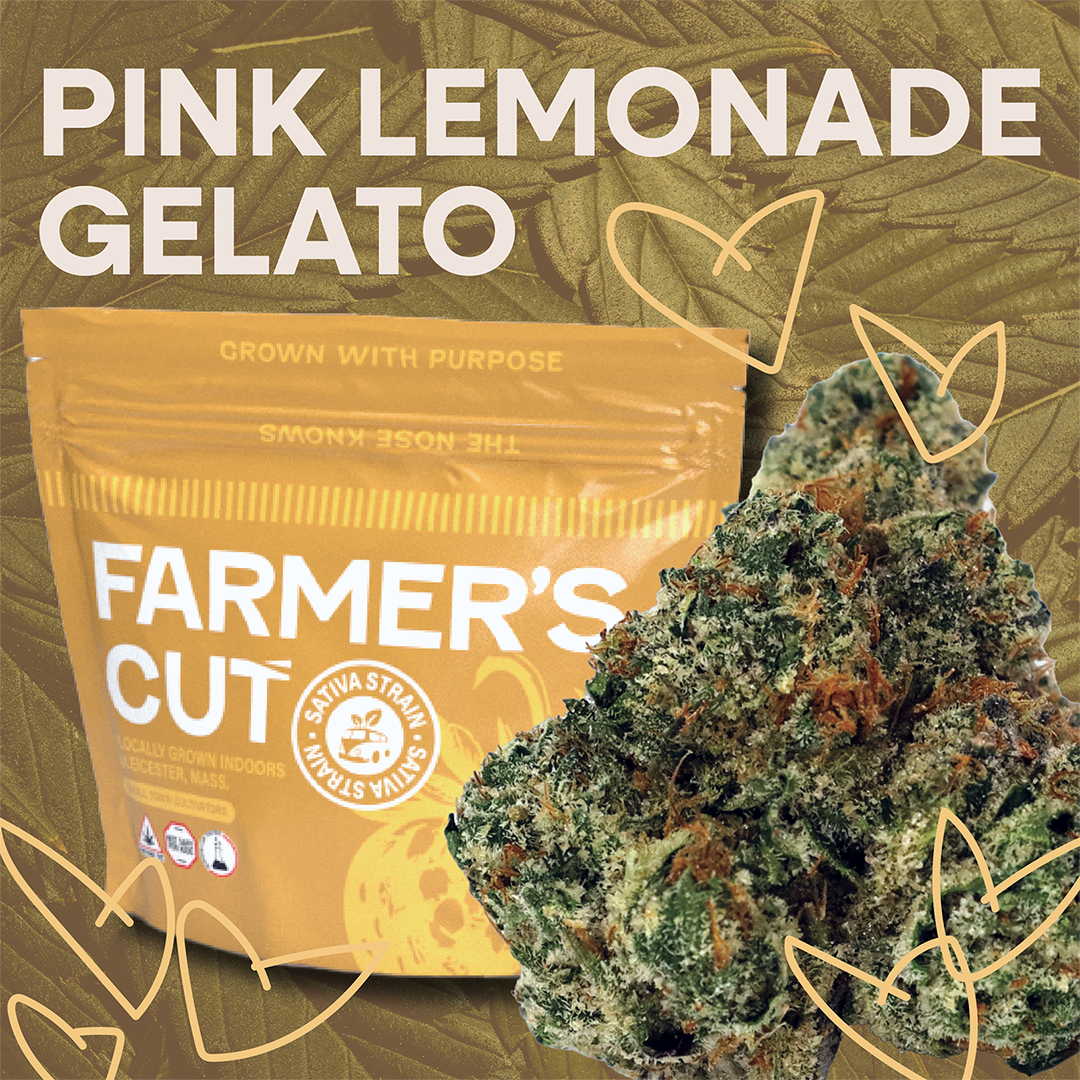 Photograph of product: Pink Lemonade Gelato | Flower | 3.5g | By Farmer's Cut