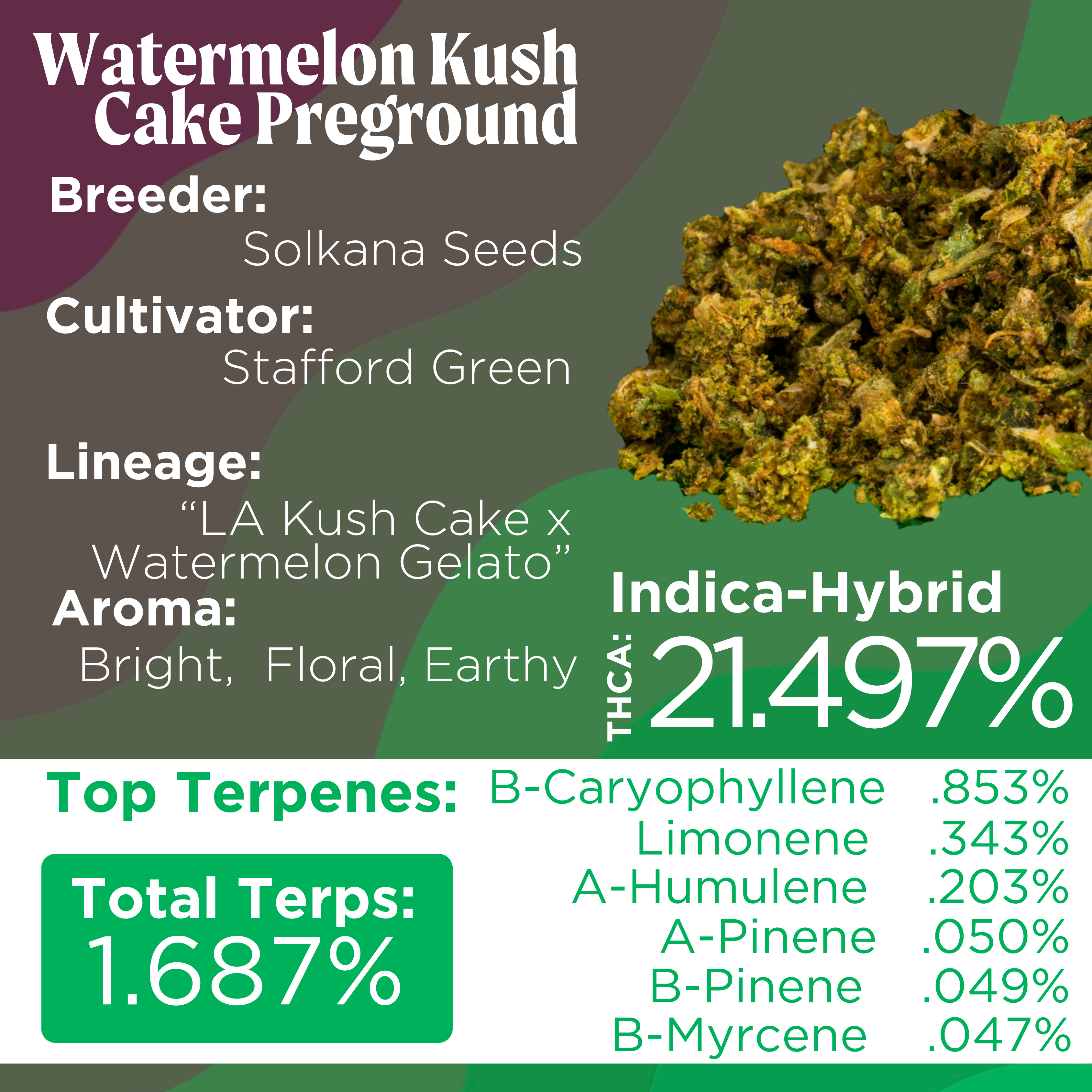 Photograph of product: Deli Style | Watermelon Kush Cake Pre-Ground  | Sungrown - Oui'd - Hybrid - 28g