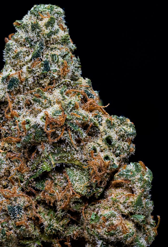 Photograph of product: OG Gardens - Dirty Shirley (25%) - 1/8 - 3.5g