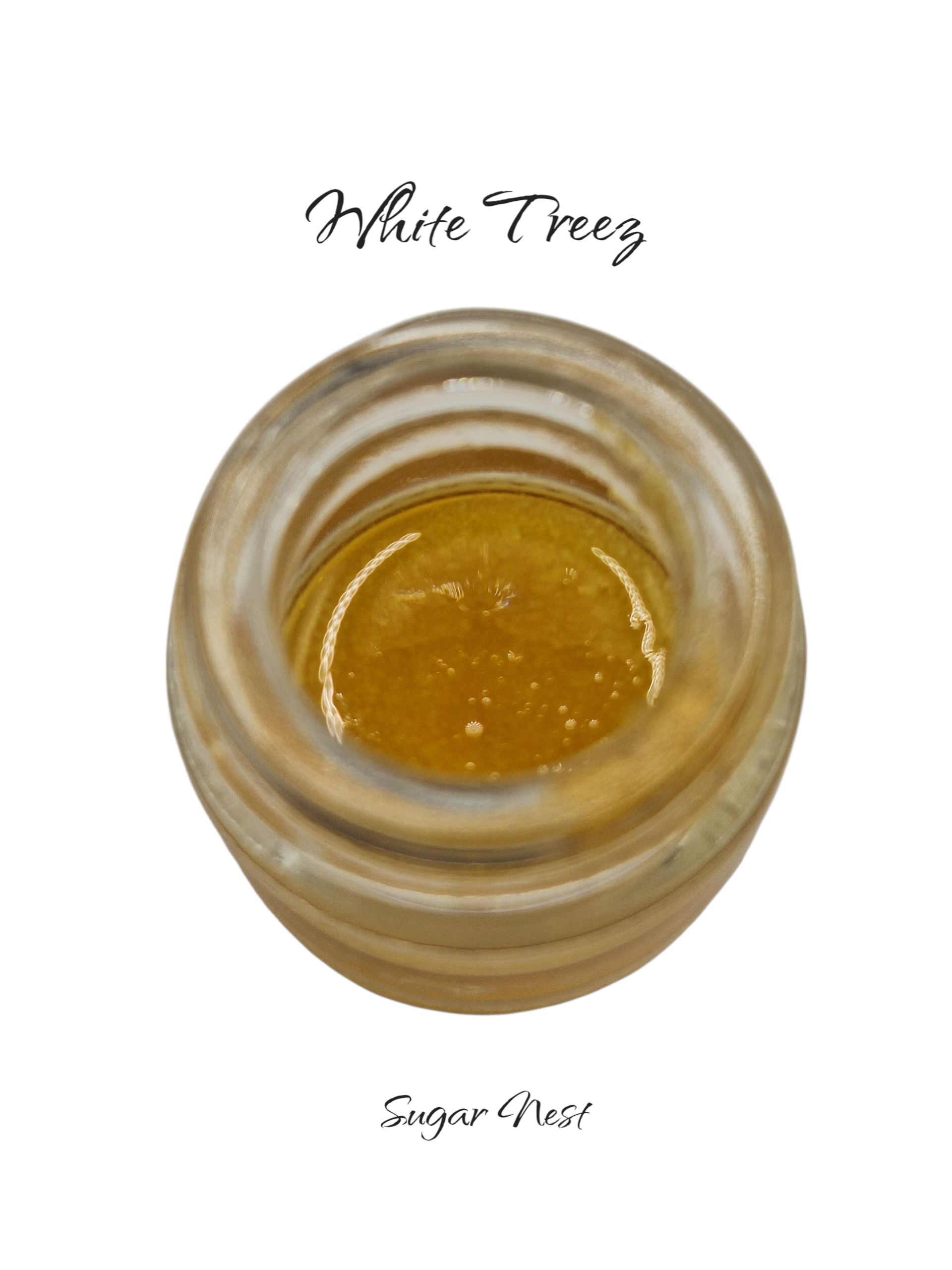 Photograph of product: WHITE TREES | CURED RESIN