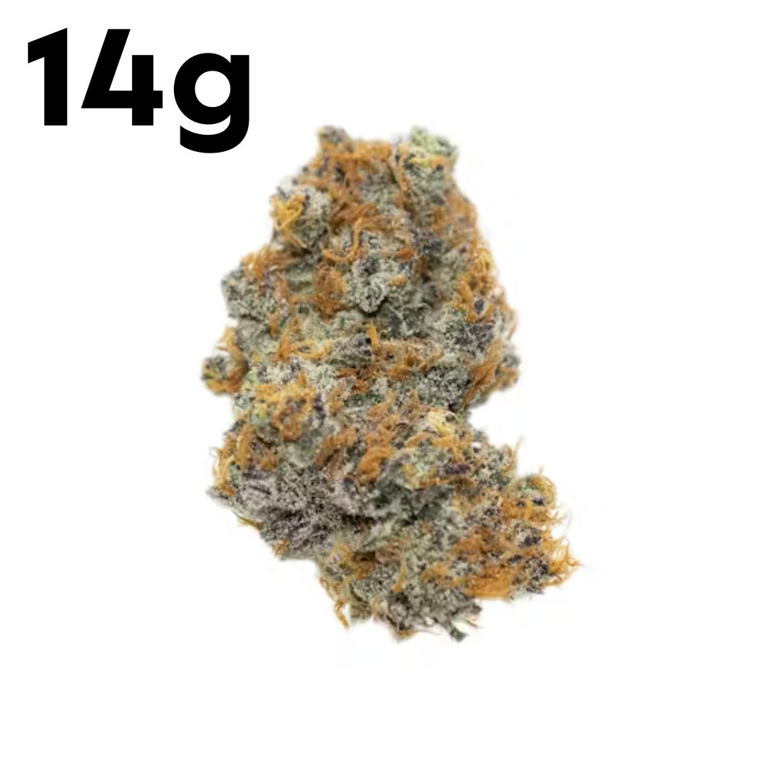 Photograph of product: Funky Falcon | 14g | BeWell