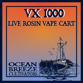 Photograph of product: VX1000 | Vape Cart | Live au chocolat Rosin (TAX INCLUDED)