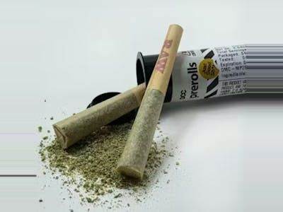 Photograph of product: Blackberry Kush - Infused Preroll 2pk 0.5g ea.