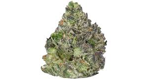 Photograph of product: OG Gardens - Medellin (24%) - 1/8 - 3.5g