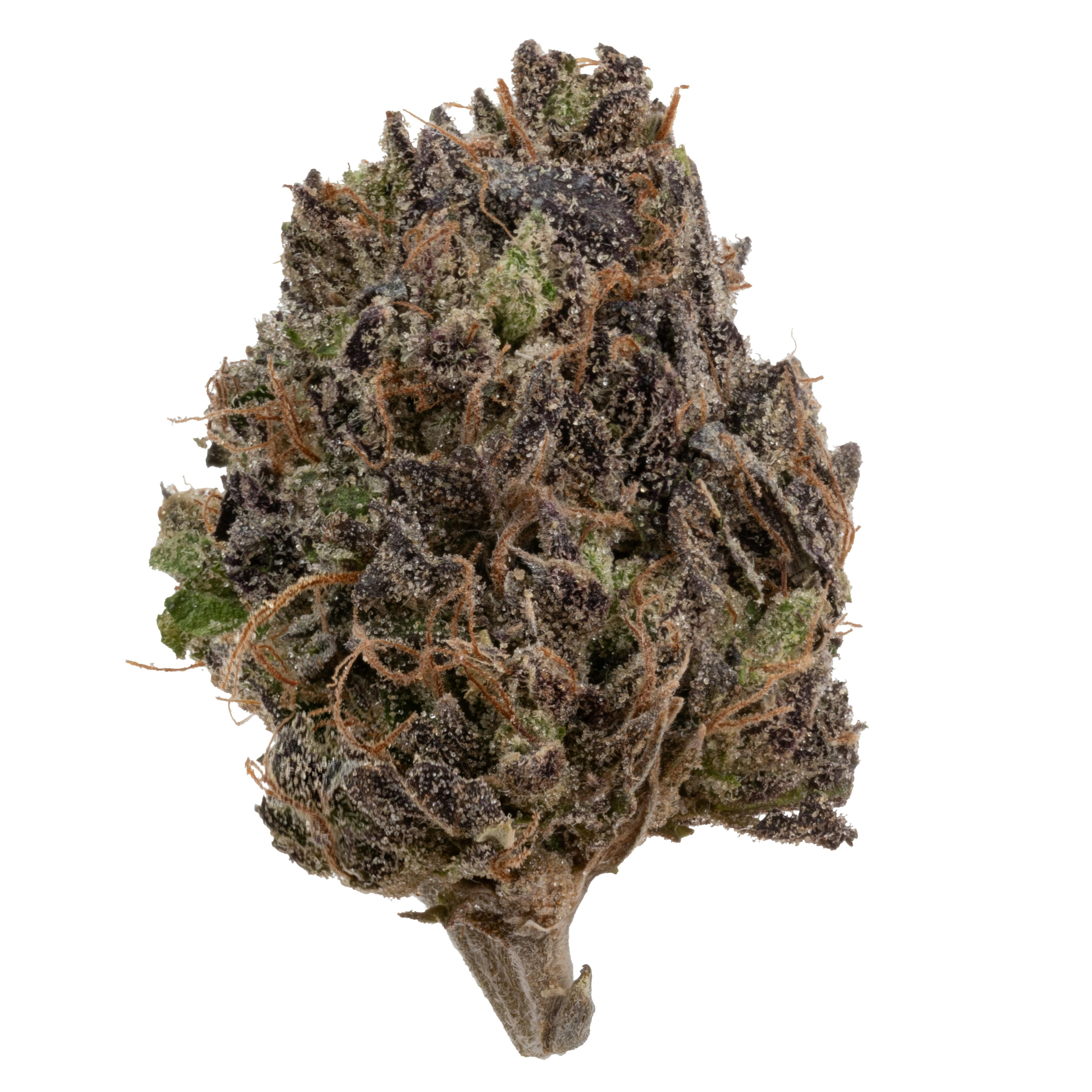 Photograph of product: GRAPE SLUSHEE