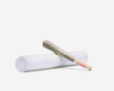 Photograph of product: White Grape Runtz I .5g