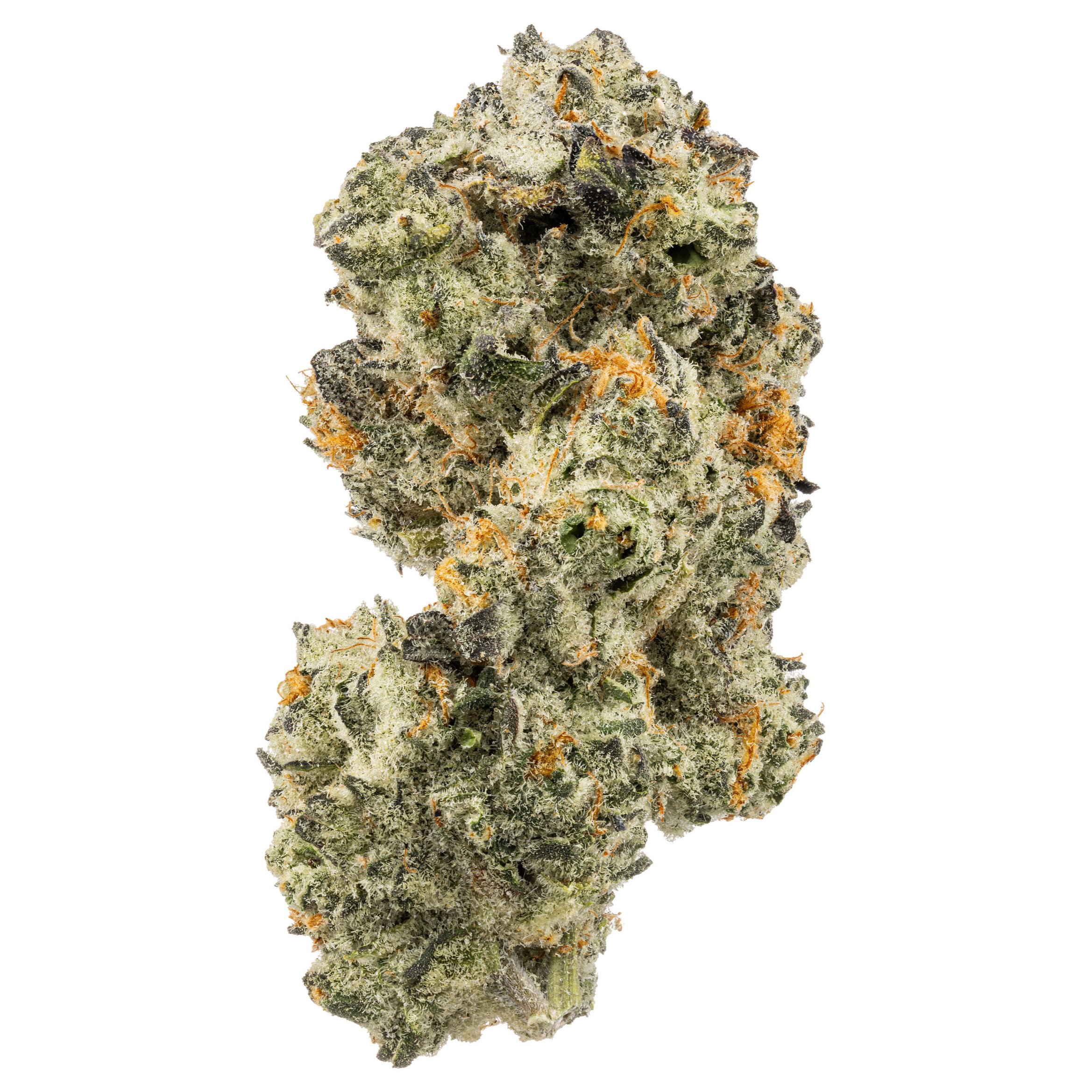 Photograph of product: Forte Triple A Buds - 28g
