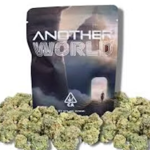 Photograph of product: 14G ORIGINAL GLUE