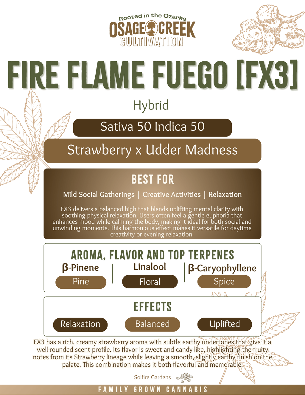 Photograph of product: FX3 - 3.5g