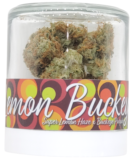 Photograph of product: Fifty Fold Lemon Buckeye 3.5g