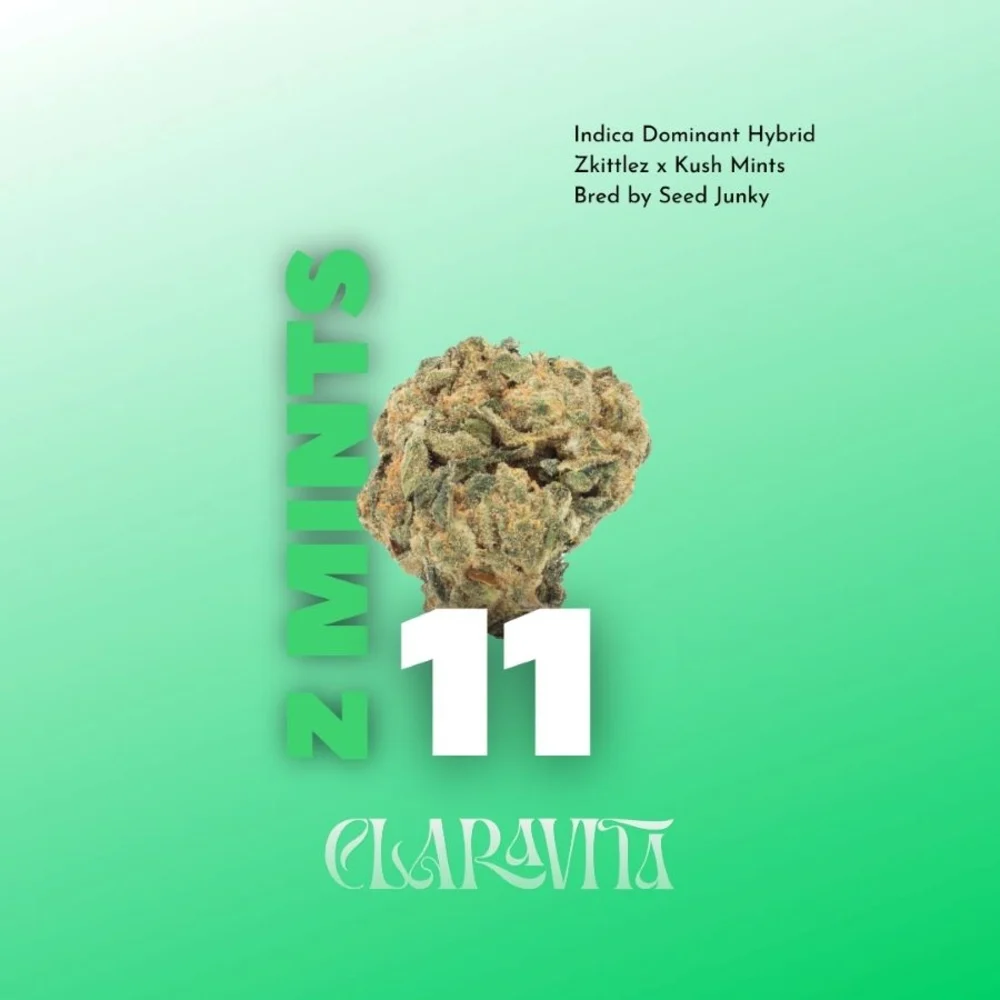 Photograph of product: Zmints 11 | Pre-Pack - 28g