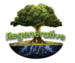 Photograph of product: Oreoz (IH) - Live Badder (1g) - Regenerative