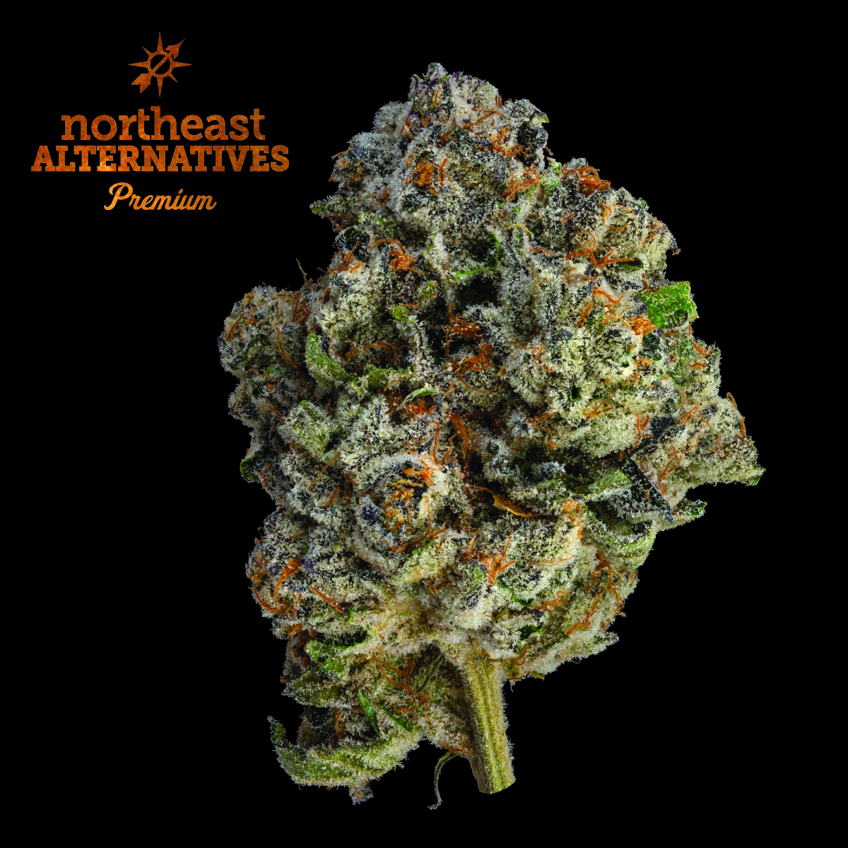 Photograph of product: Dosidos 3.5g (I)