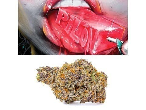 Photograph of product: Cookies - Pilon 1g Pre Roll (Hybrid)