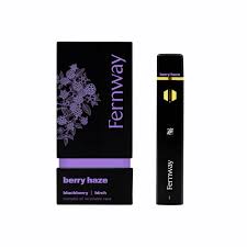 Photograph of product: Fernway | Berry Haze | Distillate | AIO | 1g
