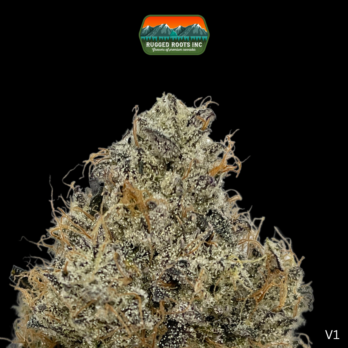 Photograph of product: Rugged Roots | Edo G 3.5g