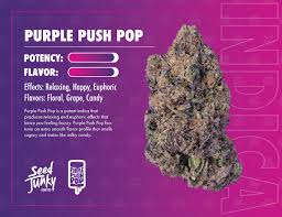 Photograph of product: Pre-Packed Flower | Purple Push Pop | 3.5g | Seed Junky