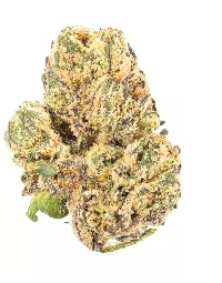 Photograph of product: Goats Milk (H) - 3.5g