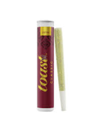 Photograph of product: Toast | Barney's Bubble Bath | Preroll | 1g