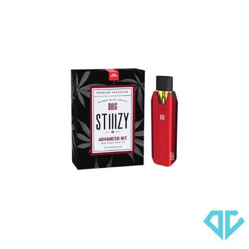 Photograph of product: BIIIG Red Advanced Starter Kit Battery