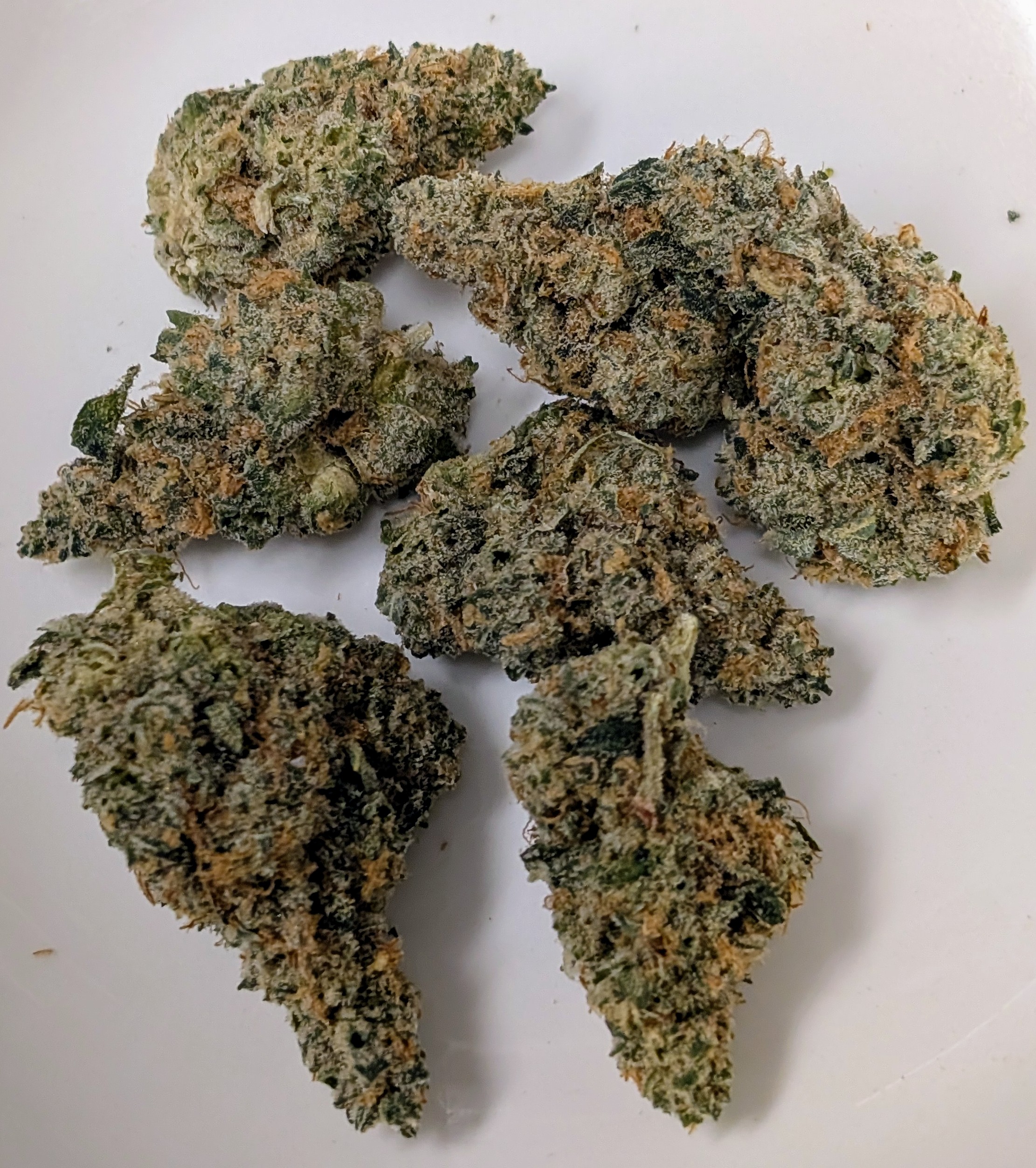Photograph of product: MJ Verdant Pink Cookies 3.5G