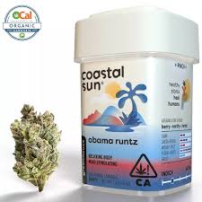 Photograph of product: Coastal Sun Obama Runtz 3.5g Prepack