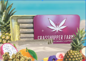 Photograph of product: Grasshopper Farms | Resin Infused Van Helsing Infused Pre-Roll