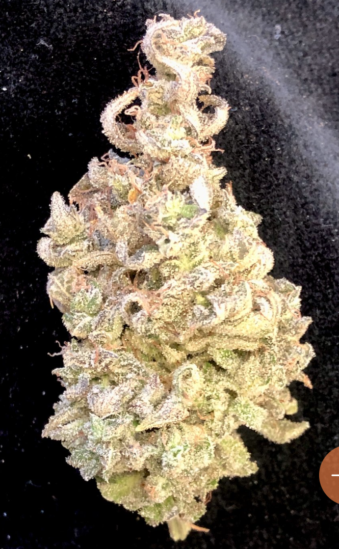 Photograph of Product: Blue Lotus - 3.5g
