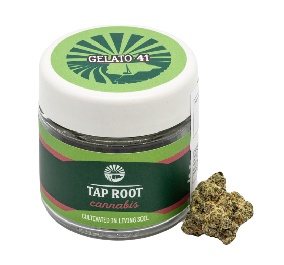 Photograph of Product: Gelato 41 Tap Root - 3.5g