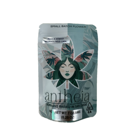 Photograph of product: ANTHEIA | MORLEY FIELD 1904 (H) | 7G