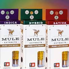 Photograph of product: Dutch Treat Live Resin Cartridge (Mule)
