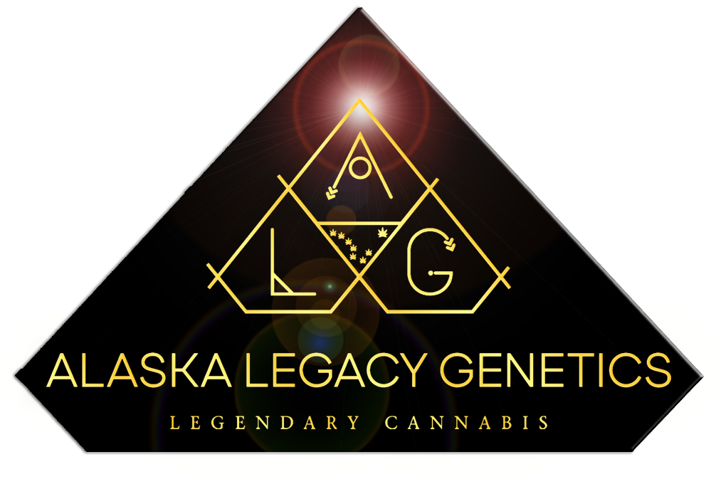 Photograph of product: Blue Cookies by AK Legacy Genetics - 28g