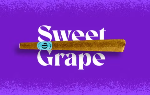 Photograph of product: Sweet Grape - Infused Blunt