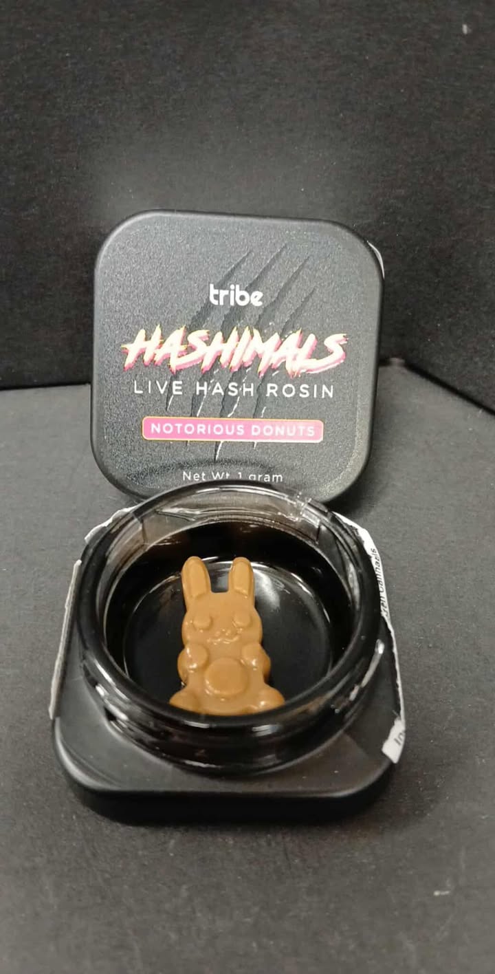 Photograph of product: Notorious Donuts $23.50 Bunny au chocolatimal | Tribe