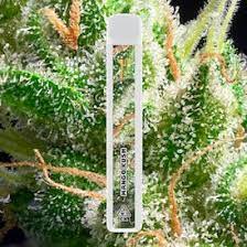 Photograph of product: CAKE: LR Berry Gelato