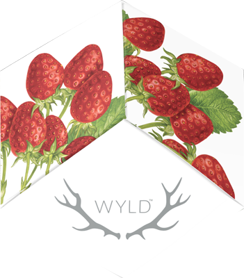 Photograph of product: Wyld - Strawberry 20:1 CBD (h) - 10mg