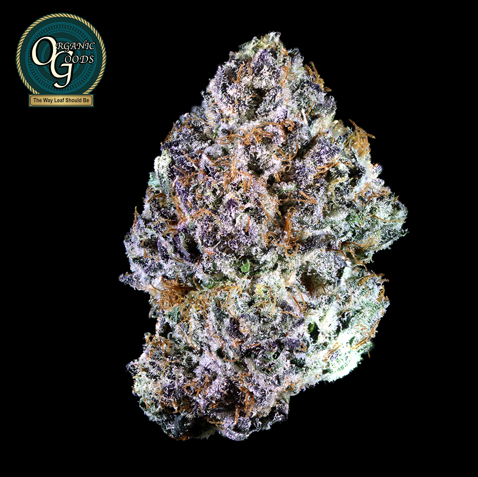 Photograph of product: RS 1000 cultivated by Koala Tea Grows - 28g