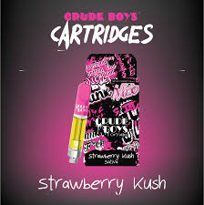 Photograph of product: Strawberry Kush | 1g