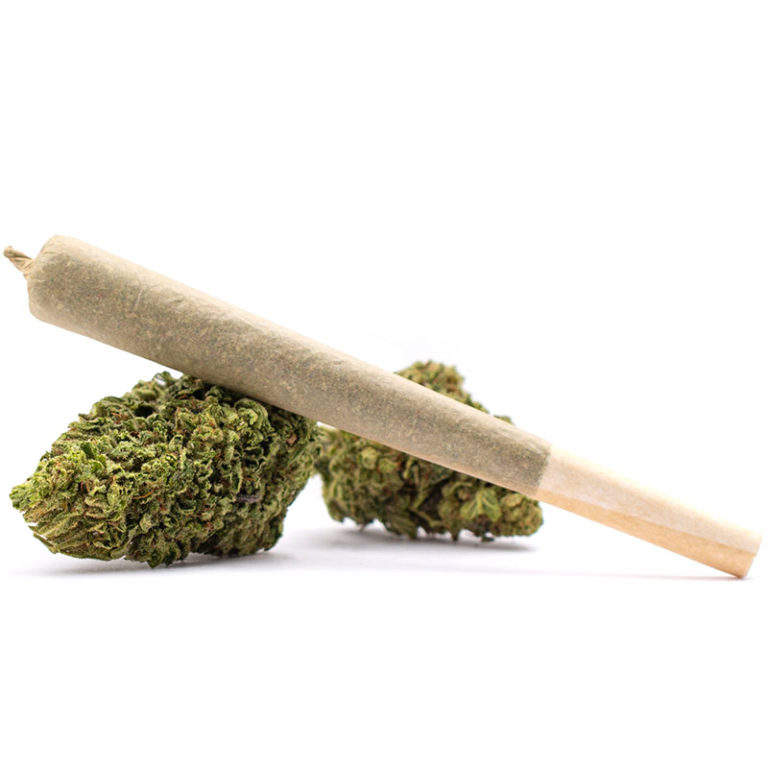 Photograph of product: Nature's Heritage - Governmint Oasis -. 5g Pre-Roll 2pk - Oui'd - 1g